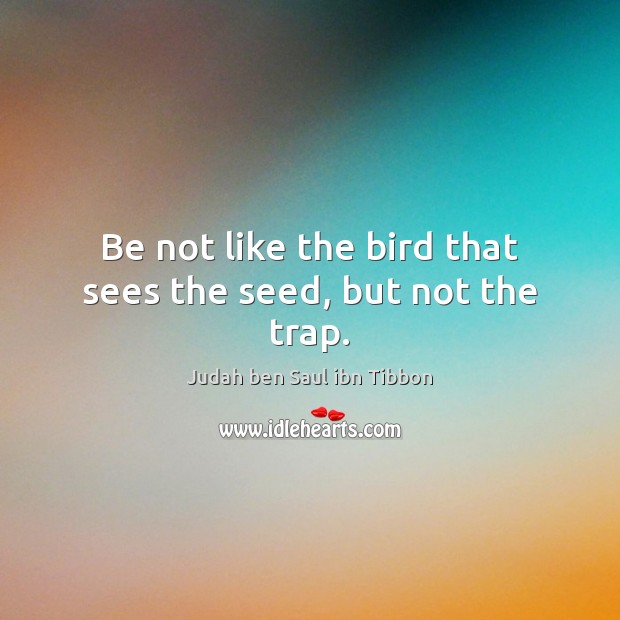 Be not like the bird that sees the seed, but not the trap. Judah ben Saul ibn Tibbon Picture Quote
