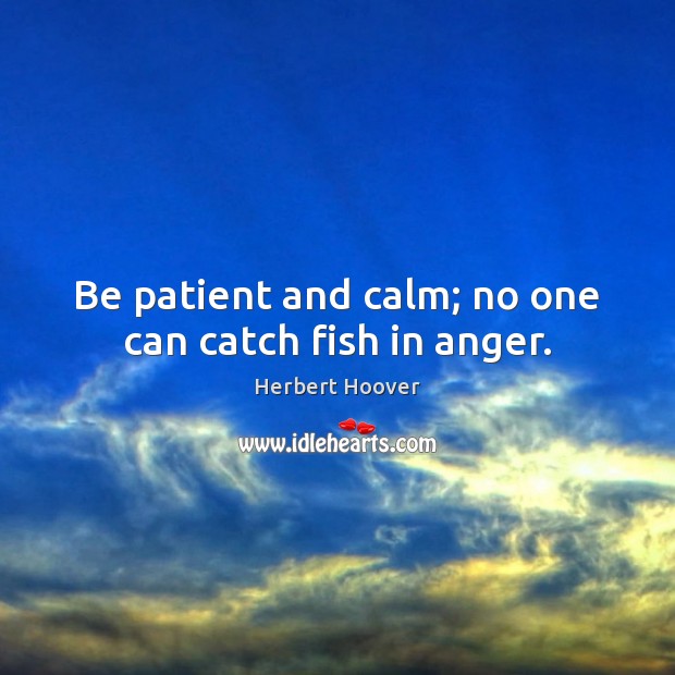 Be patient and calm; no one can catch fish in anger. Herbert Hoover Picture Quote