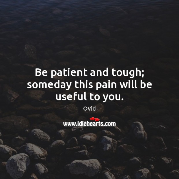 Be patient and tough; someday this pain will be useful to you. Ovid Picture Quote