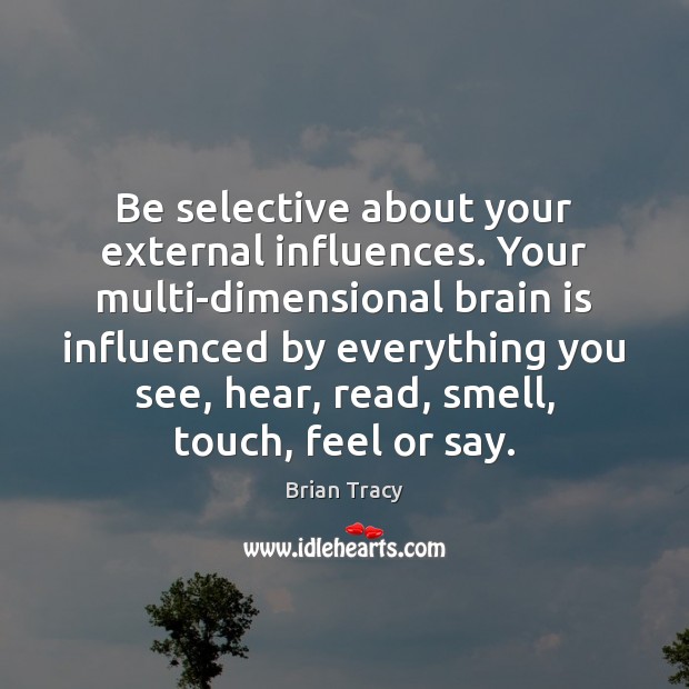 Be selective about your external influences. Your multi-dimensional brain is influenced by Brian Tracy Picture Quote