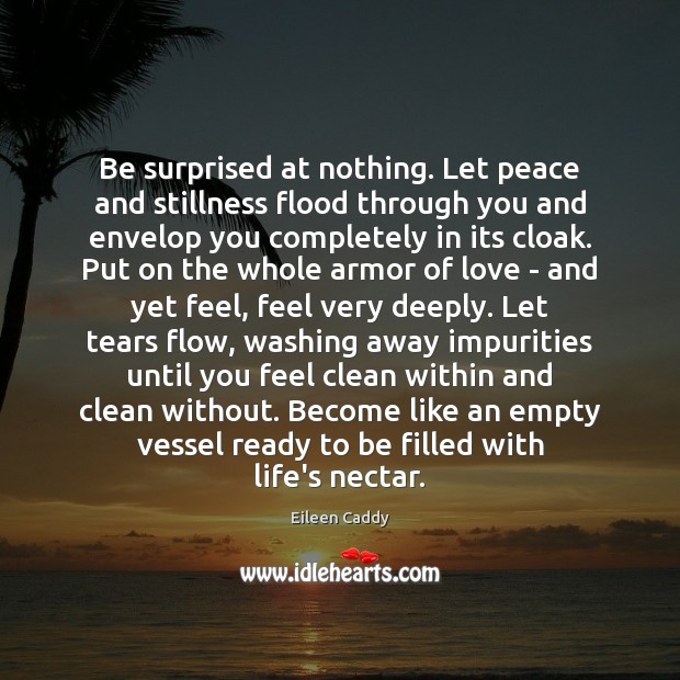 Be surprised at nothing. Let peace and stillness flood through you and Eileen Caddy Picture Quote