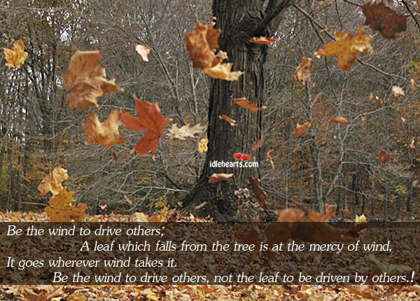 Be the wind to drive others; a leaf which falls from the Driving Quotes Image