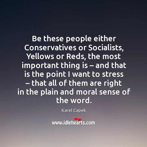 Be these people either conservatives or socialists Karel Capek Picture Quote