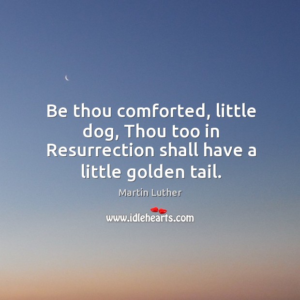 Be thou comforted, little dog, thou too in resurrection shall have a little golden tail. Image