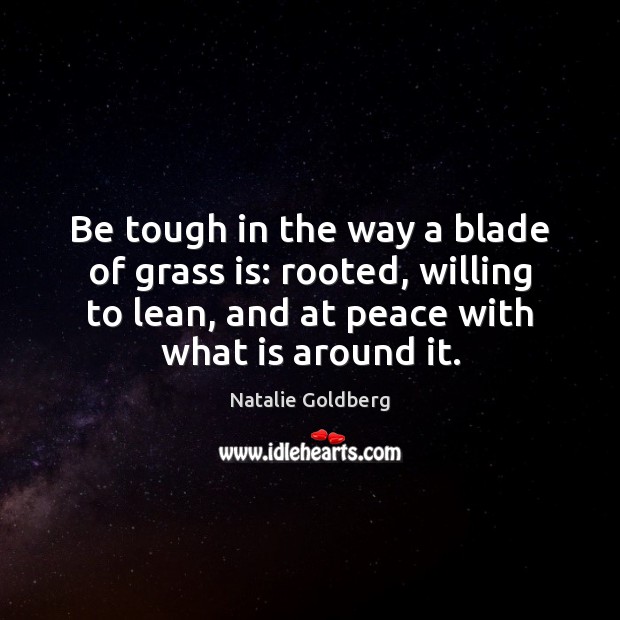 Be tough in the way a blade of grass is: rooted, willing Natalie Goldberg Picture Quote
