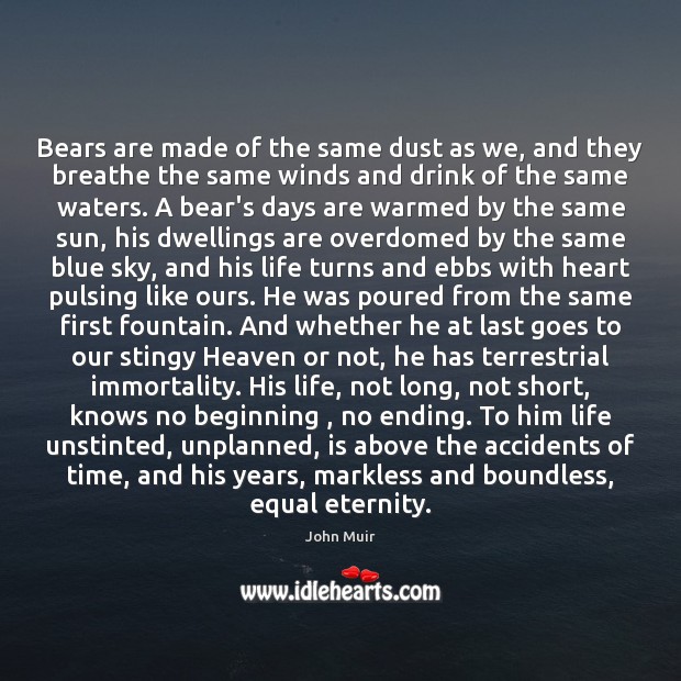 Bears are made of the same dust as we, and they breathe John Muir Picture Quote