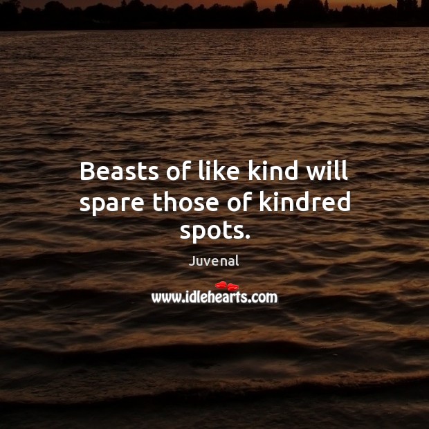 Beasts of like kind will spare those of kindred spots. Juvenal Picture Quote