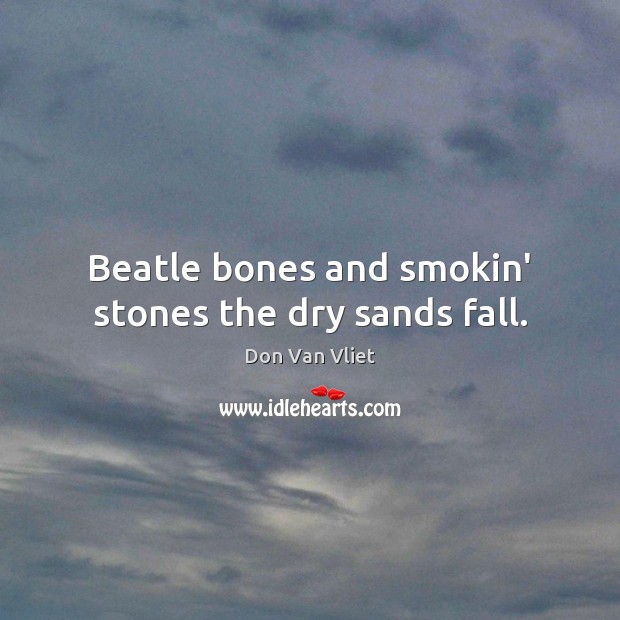 Beatle bones and smokin’ stones the dry sands fall. Don Van Vliet Picture Quote