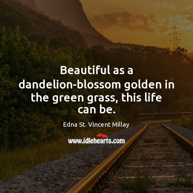 Beautiful as a dandelion-blossom golden in the green grass, this life can be. Edna St. Vincent Millay Picture Quote