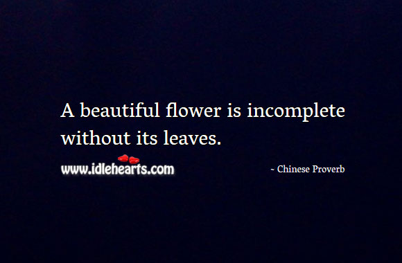 A beautiful flower is incomplete without its leaves. Image