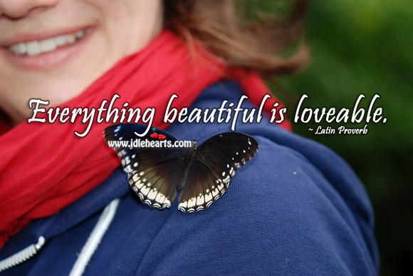 Everything beautiful is loveable. Latin Proverbs Image
