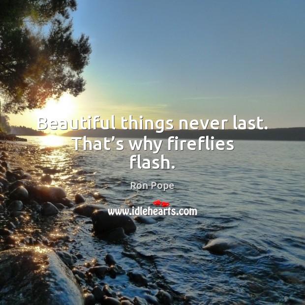 Beautiful things never last. That’s why fireflies flash. Ron Pope Picture Quote
