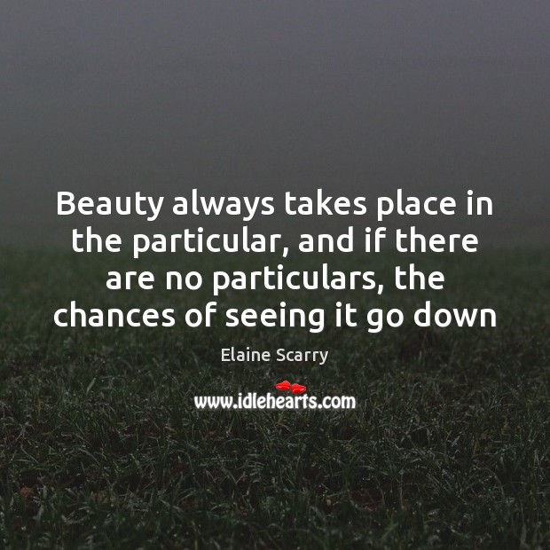 Beauty always takes place in the particular, and if there are no Elaine Scarry Picture Quote