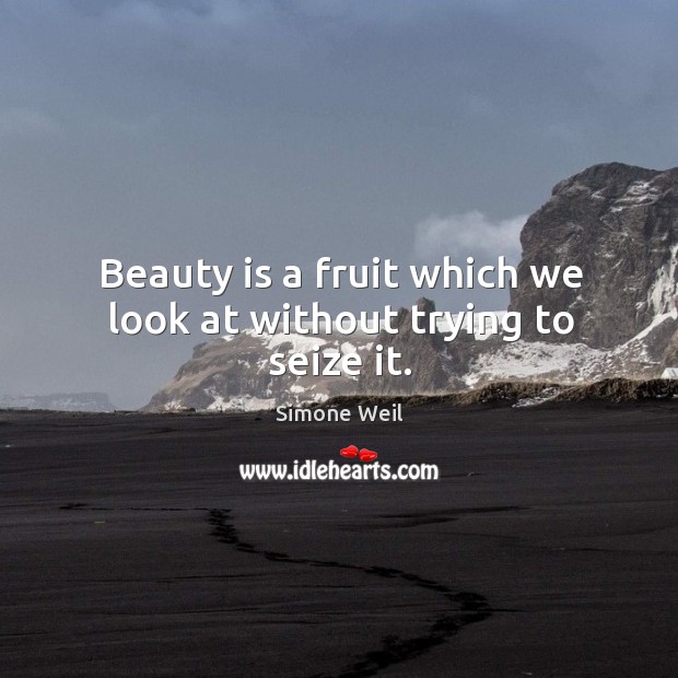 Beauty is a fruit which we look at without trying to seize it. Simone Weil Picture Quote