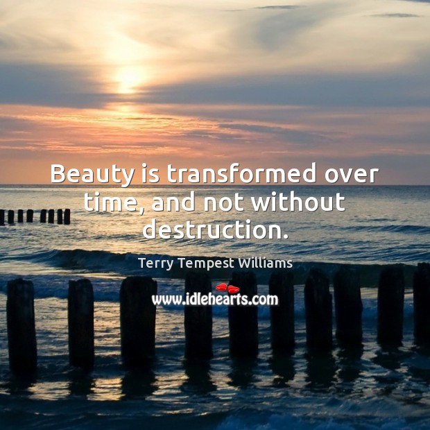 Beauty is transformed over time, and not without destruction. Image