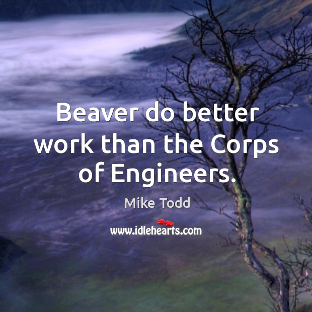 Beaver do better work than the Corps of Engineers. Mike Todd Picture Quote