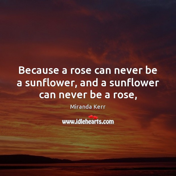 Because a rose can never be a sunflower, and a sunflower can never be a rose, Miranda Kerr Picture Quote