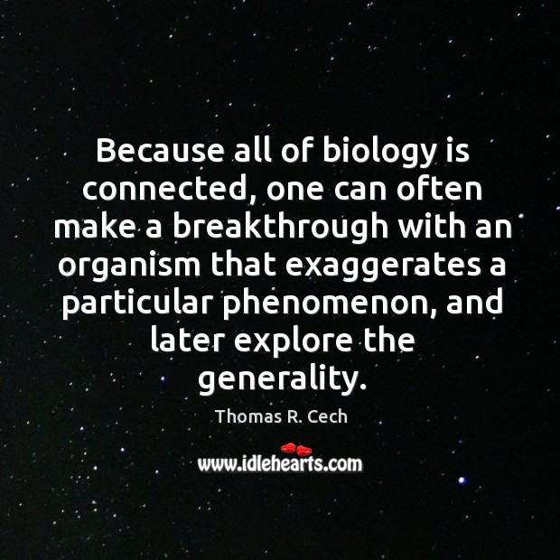 Because all of biology is connected, one can often make a breakthrough with an organism Thomas R. Cech Picture Quote