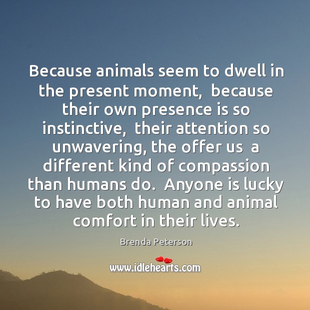 Because animals seem to dwell in the present moment,  because their own Brenda Peterson Picture Quote