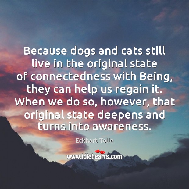 Because dogs and cats still live in the original state of connectedness Eckhart Tolle Picture Quote