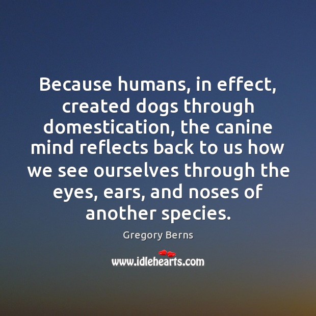 Because humans, in effect, created dogs through domestication, the canine mind reflects Gregory Berns Picture Quote