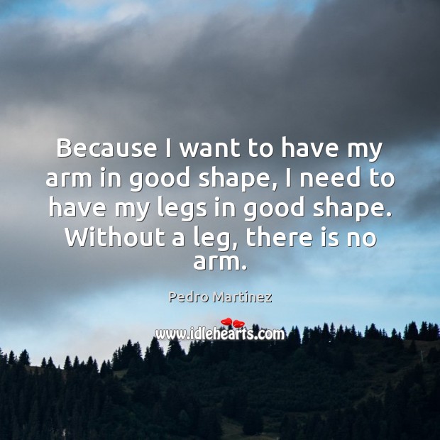 Because I want to have my arm in good shape, I need Pedro Martinez Picture Quote