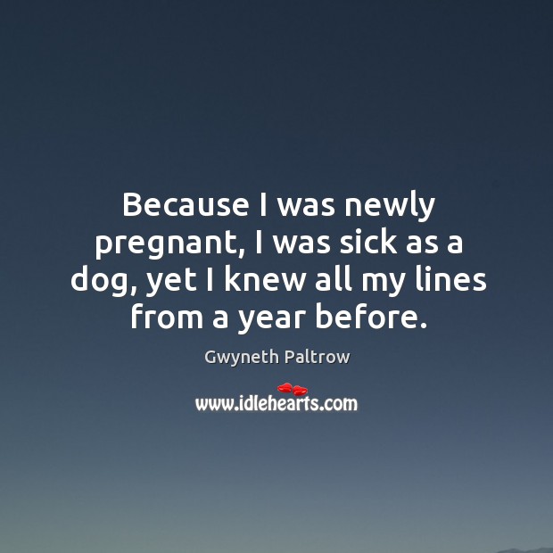 Because I was newly pregnant, I was sick as a dog, yet I knew all my lines from a year before. Gwyneth Paltrow Picture Quote