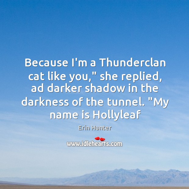 Because I’m a Thunderclan cat like you,” she replied, ad darker shadow Erin Hunter Picture Quote