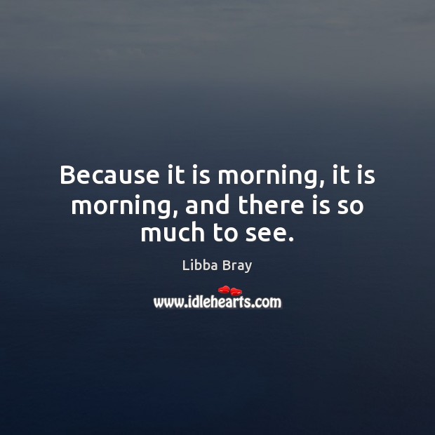 Because it is morning, it is morning, and there is so much to see. Libba Bray Picture Quote
