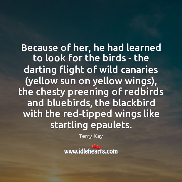 Because of her, he had learned to look for the birds – Terry Kay Picture Quote