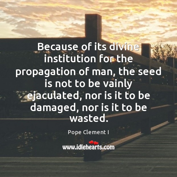 Because of its divine institution for the propagation of man, the seed Pope Clement I Picture Quote