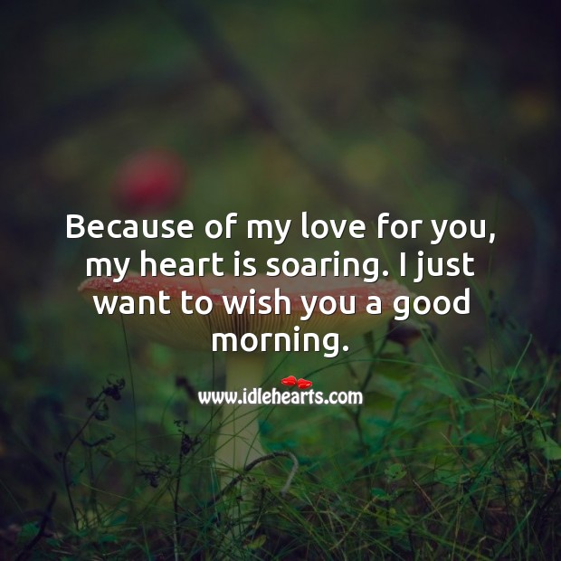 Because of my love for you, my heart is soaring. Good Morning. Heart Quotes Image