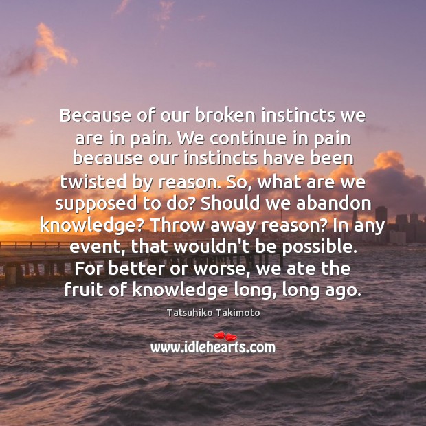 Because of our broken instincts we are in pain. We continue in Image