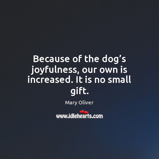 Because of the dog’s joyfulness, our own is increased. It is no small gift. Image