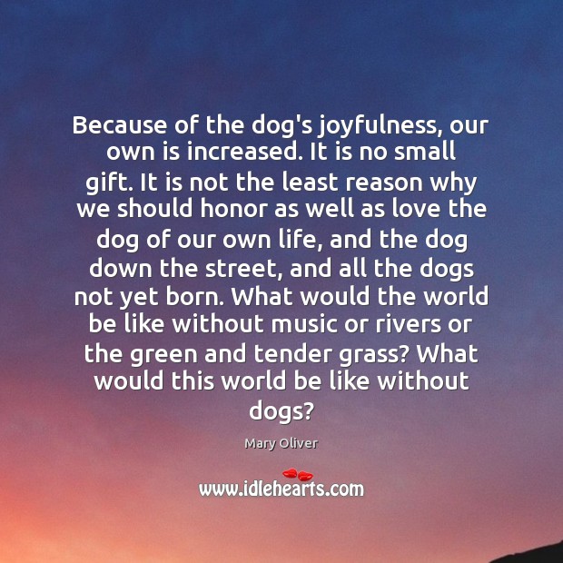 Because of the dog’s joyfulness, our own is increased. It is no Mary Oliver Picture Quote