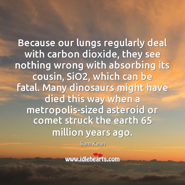 Because our lungs regularly deal with carbon dioxide, they see nothing wrong Sam Kean Picture Quote
