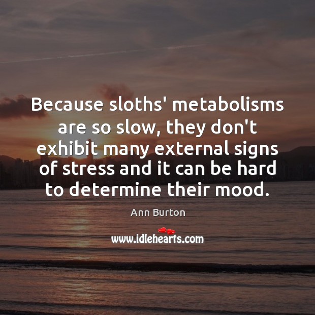 Because sloths’ metabolisms are so slow, they don’t exhibit many external signs Ann Burton Picture Quote