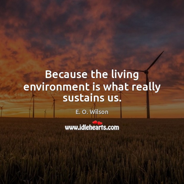 Because the living environment is what really sustains us. Image