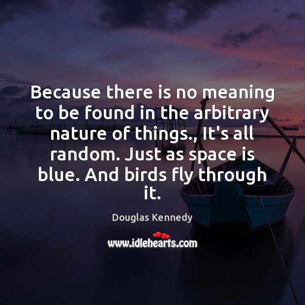 Because there is no meaning to be found in the arbitrary nature Space Quotes Image