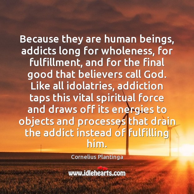 Because they are human beings, addicts long for wholeness, for fulfillment, and Cornelius Plantinga Picture Quote