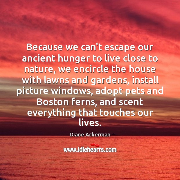 Because we can’t escape our ancient hunger to live close to nature, Diane Ackerman Picture Quote
