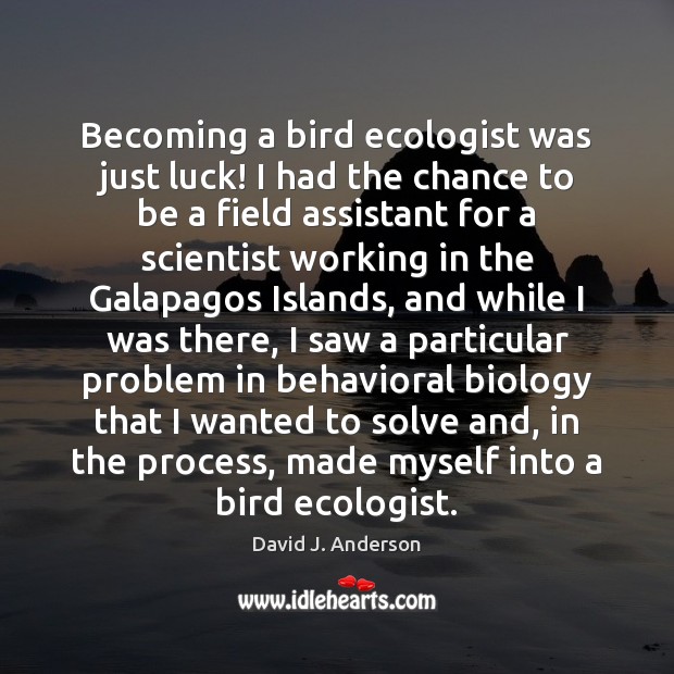 Becoming a bird ecologist was just luck! I had the chance to David J. Anderson Picture Quote