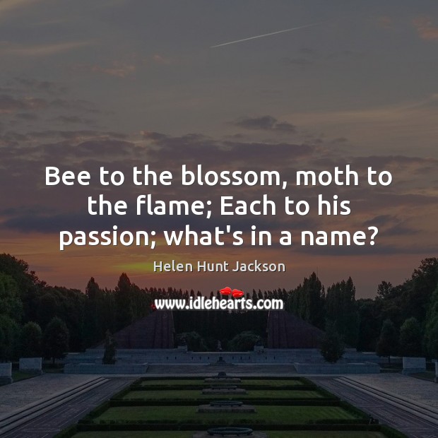 Bee to the blossom, moth to the flame; Each to his passion; what’s in a name? Helen Hunt Jackson Picture Quote