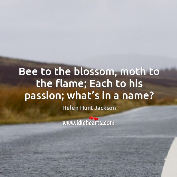 Bee to the blossom, moth to the flame; each to his passion; what’s in a name? Passion Quotes Image