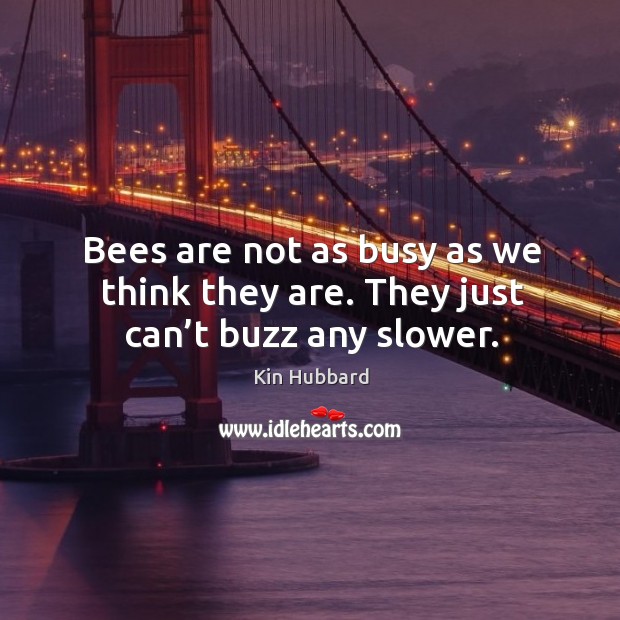 Bees are not as busy as we think they are. They just can’t buzz any slower. Kin Hubbard Picture Quote