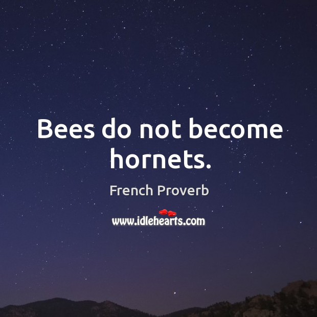 Bees do not become hornets. French Proverbs Image