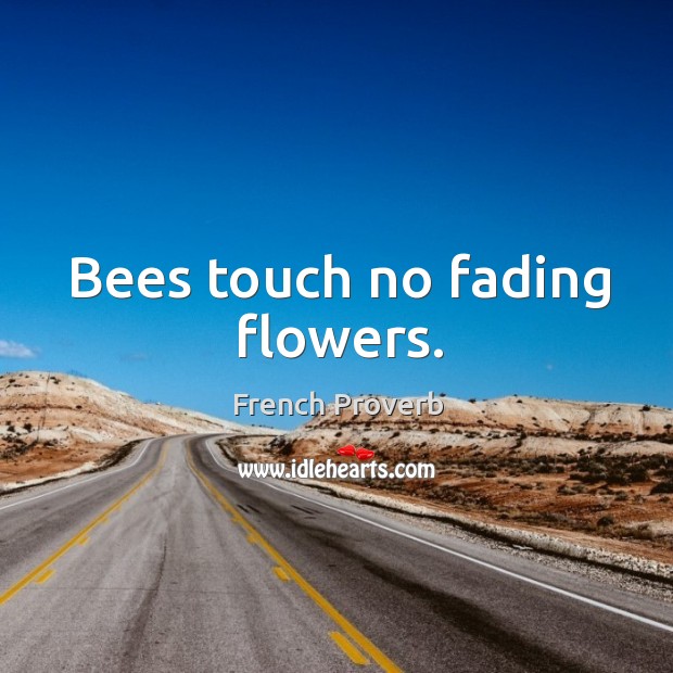 Bees touch no fading flowers. French Proverbs Image