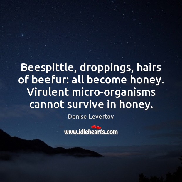Beespittle, droppings, hairs of beefur: all become honey. Virulent micro-organisms cannot survive Denise Levertov Picture Quote