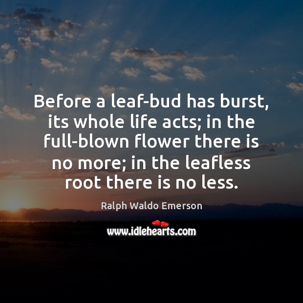 Before a leaf-bud has burst, its whole life acts; in the full-blown Image