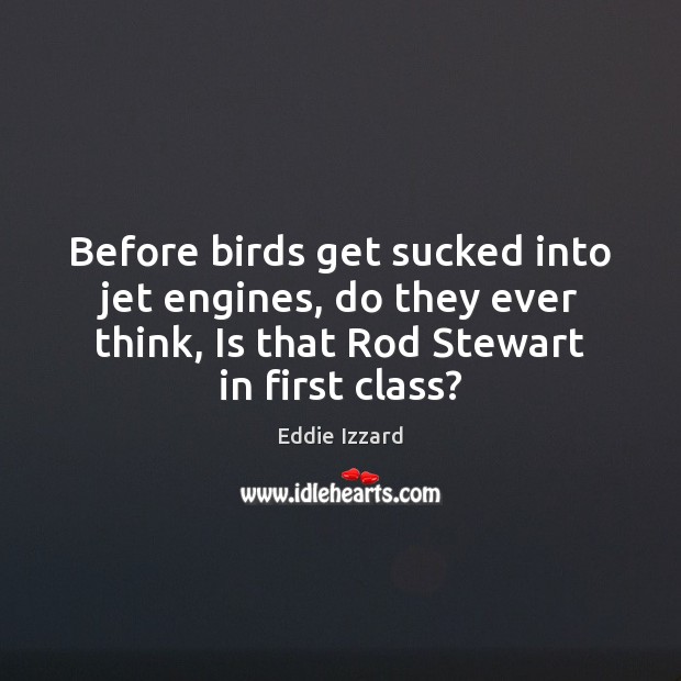 Before birds get sucked into jet engines, do they ever think, Is Eddie Izzard Picture Quote
